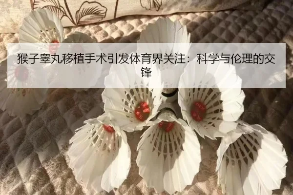 猴子睾丸移植手术引发体育界关注：科学与伦理的交锋 - AC Milan Sports